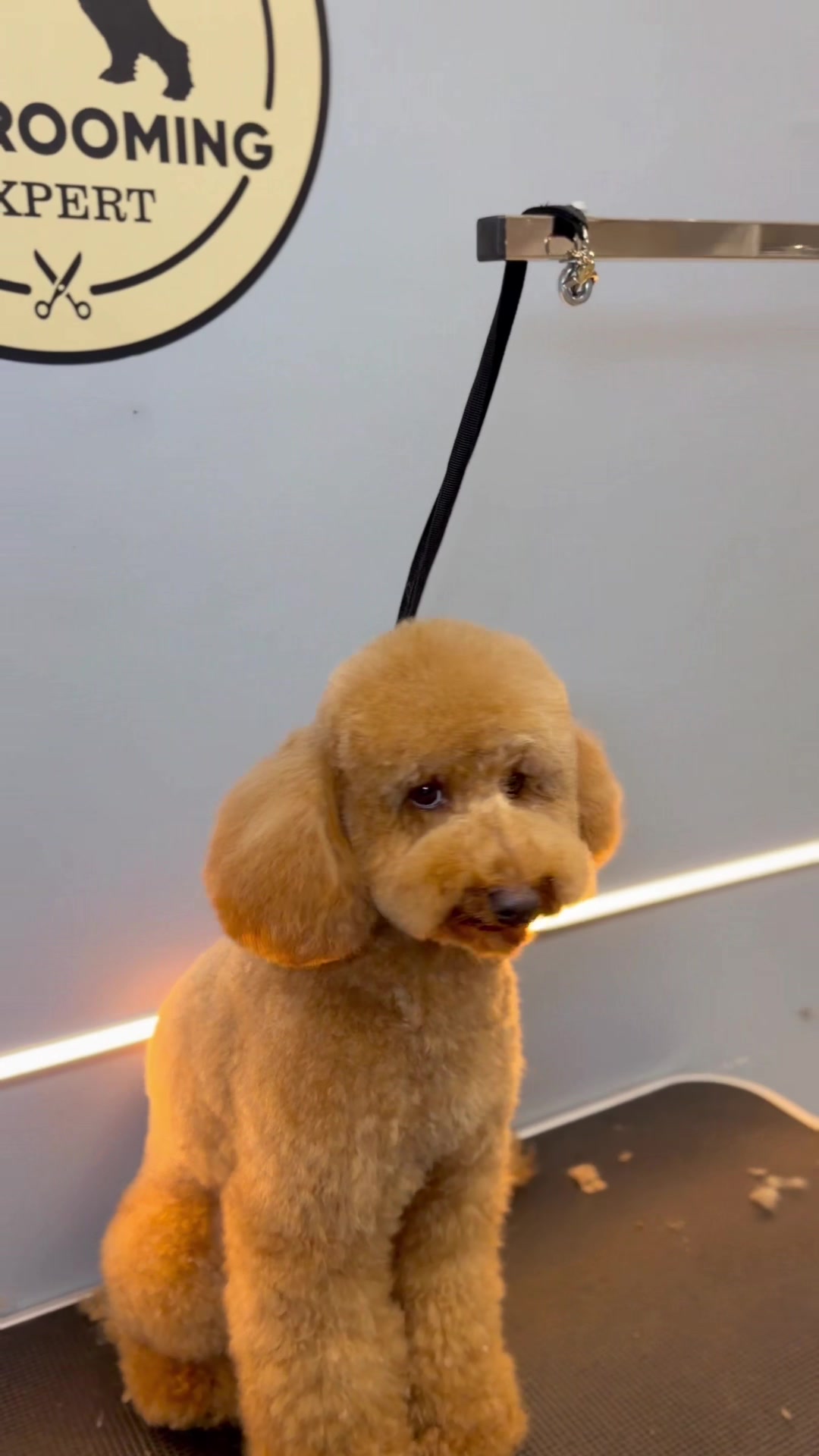 @PetGroomingExpert.md
