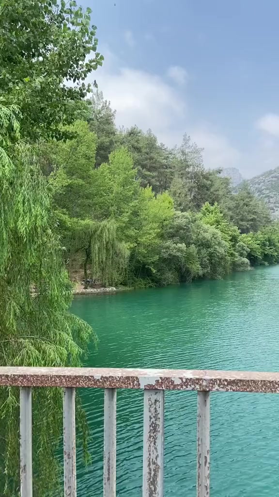 @Dilara33
