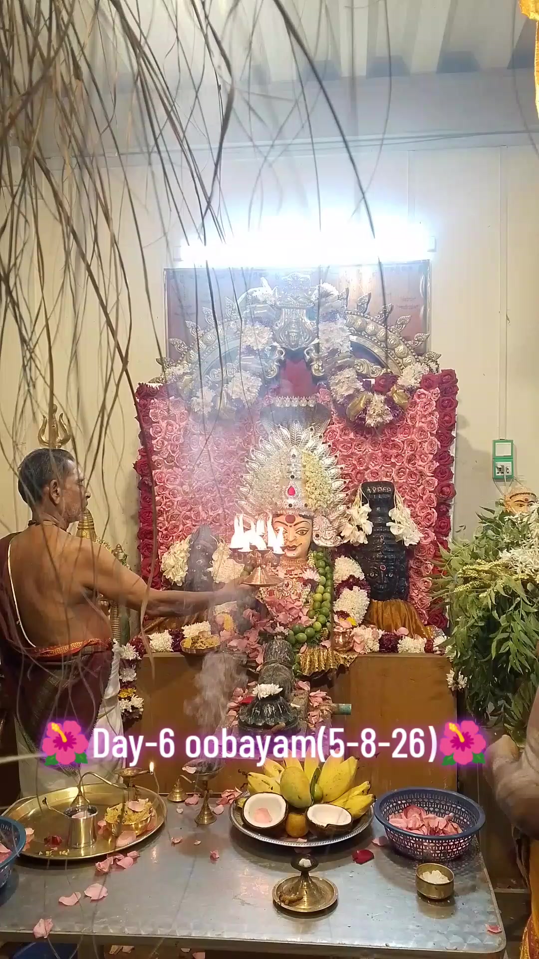 @Pandiyan Thevan(Ko Aung Phyo)