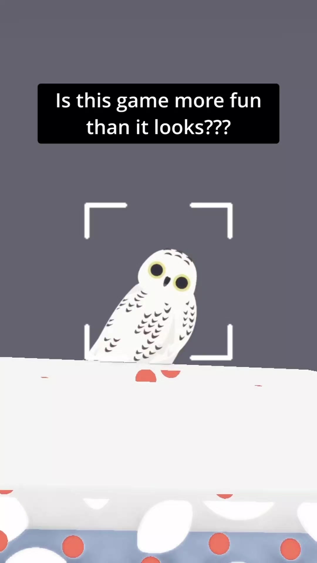 @Flock Around