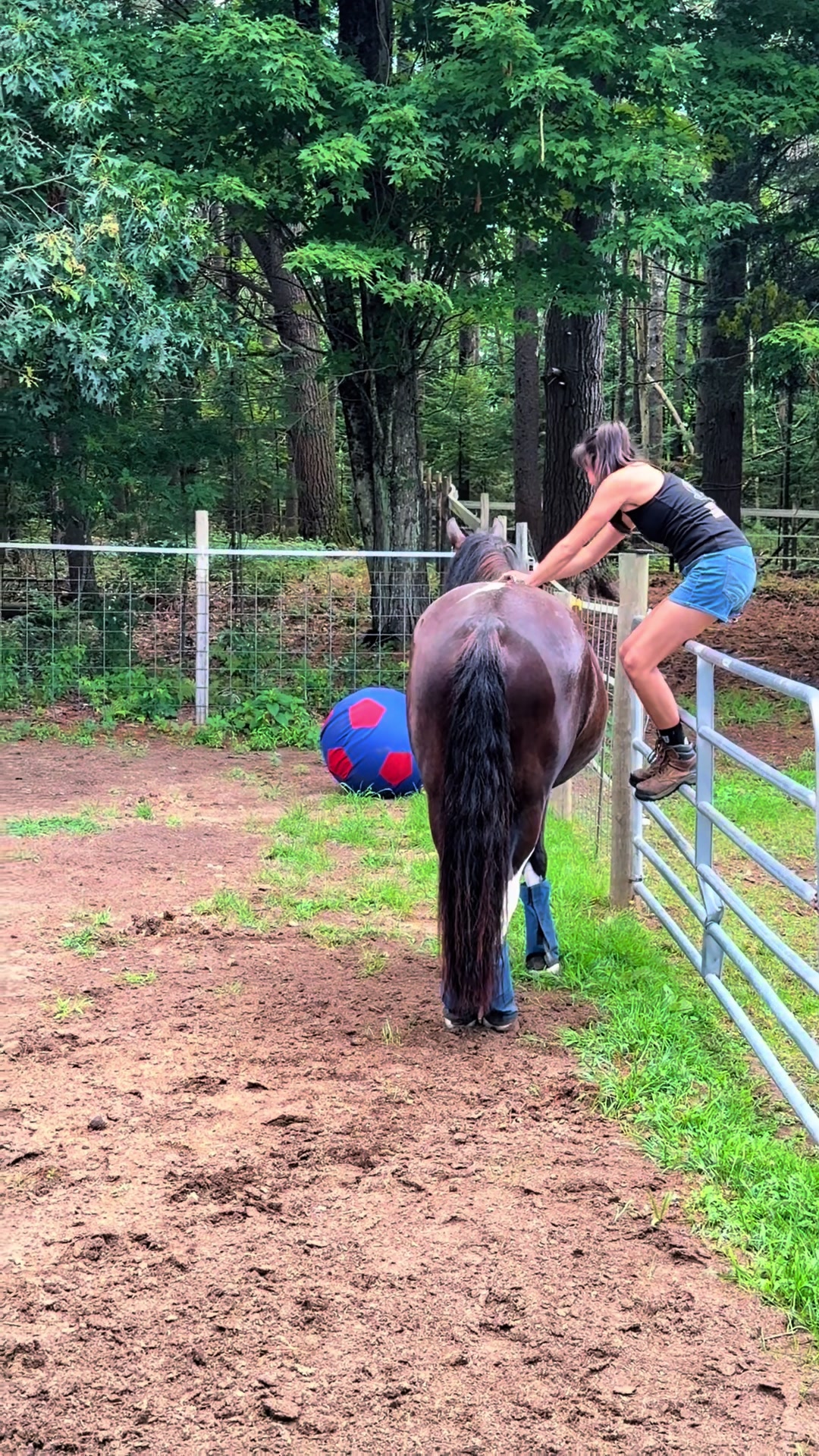 @Unshackled Hearts Ranch