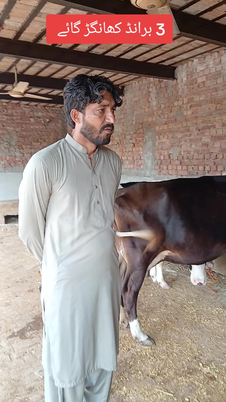 @Farming and Business Ideas