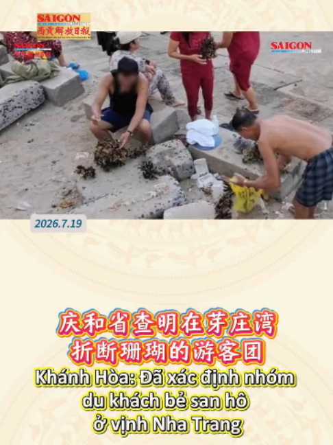 @西贡解放日报-Báo SGGP bản Hoa văn