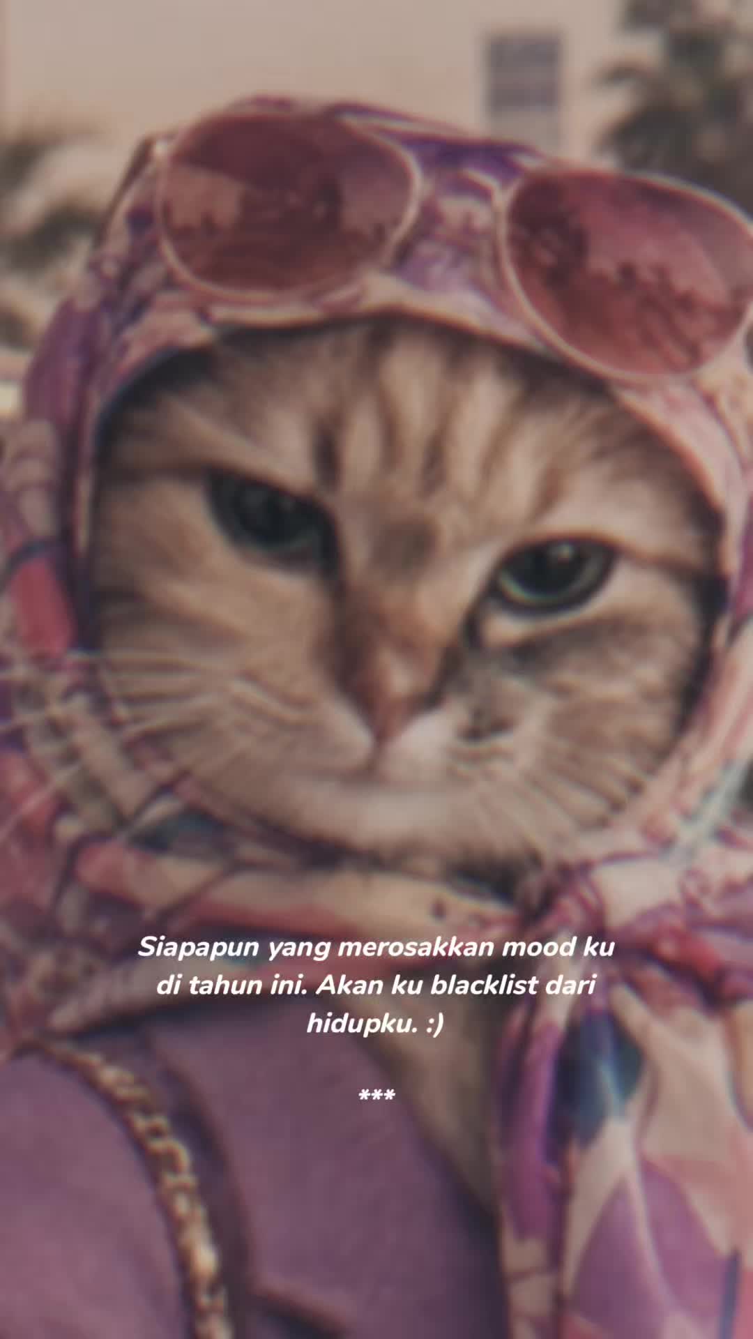 @Shima Amil