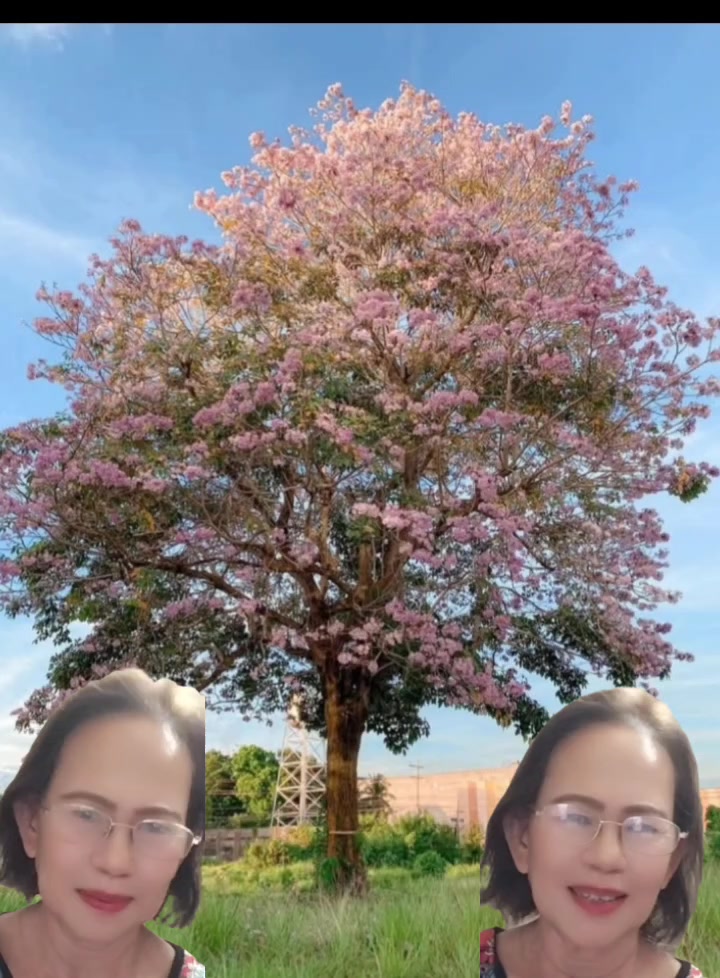 @ecila❤️🌹❤️🇵🇭