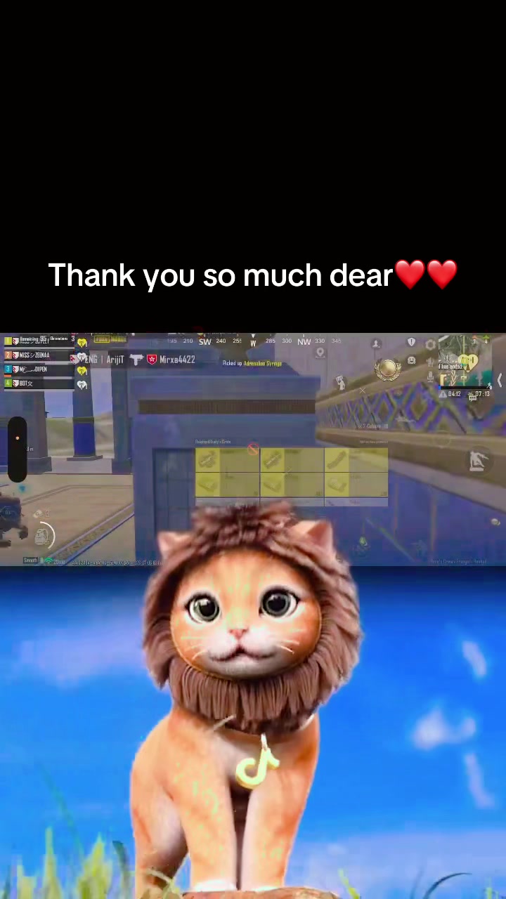 @LOVELY GAMING
