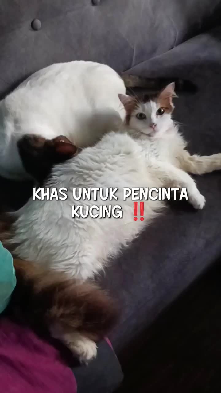@Norazrena | Racun Tiktok