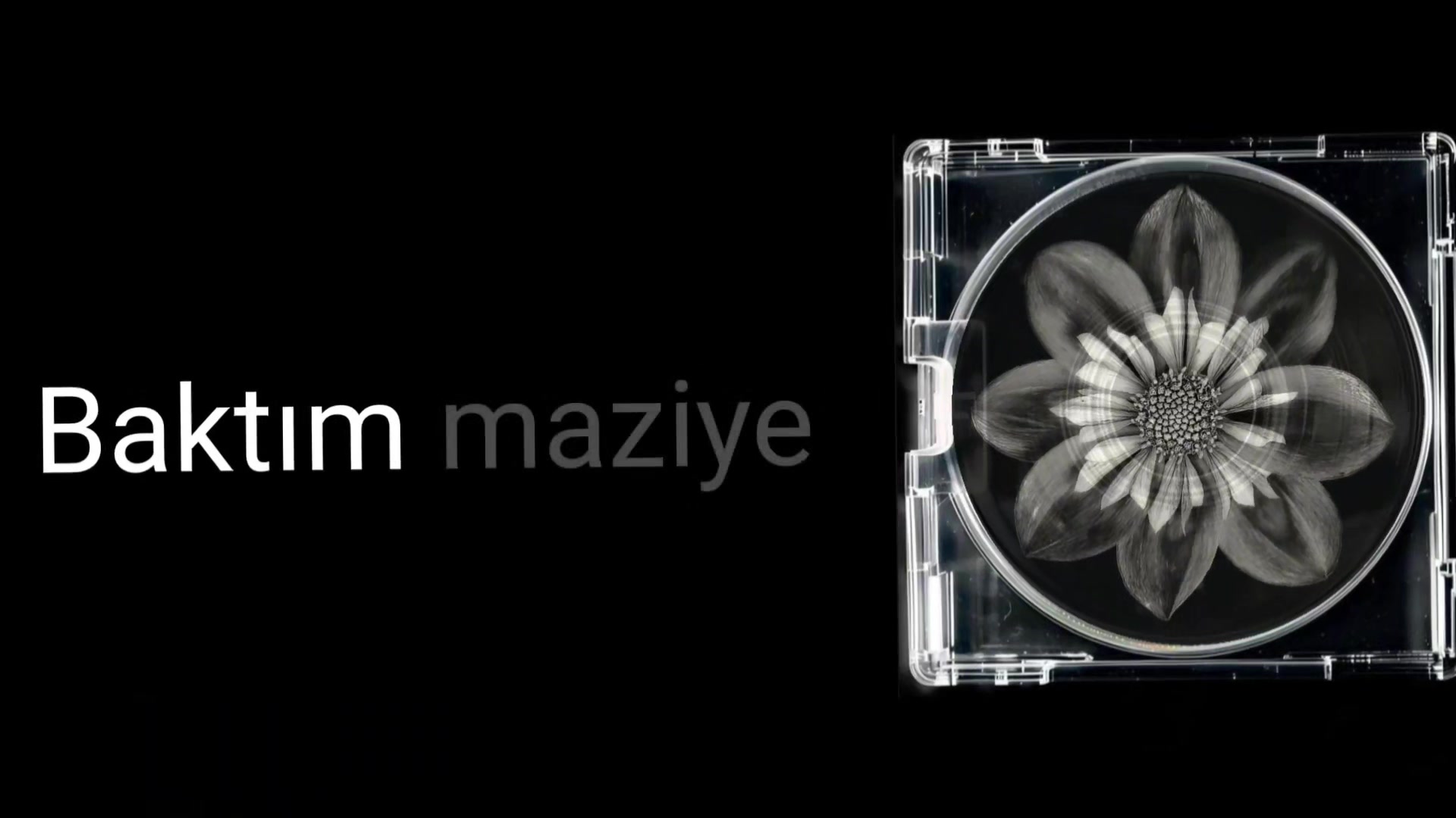 @Lyrics