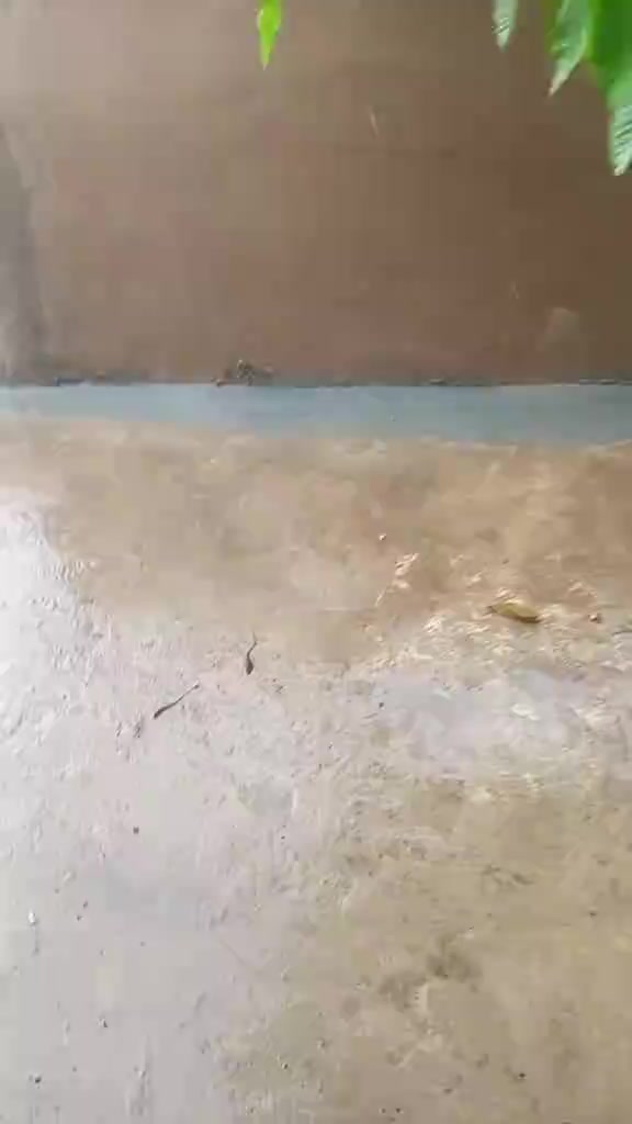 @Abdullahi Rabiu