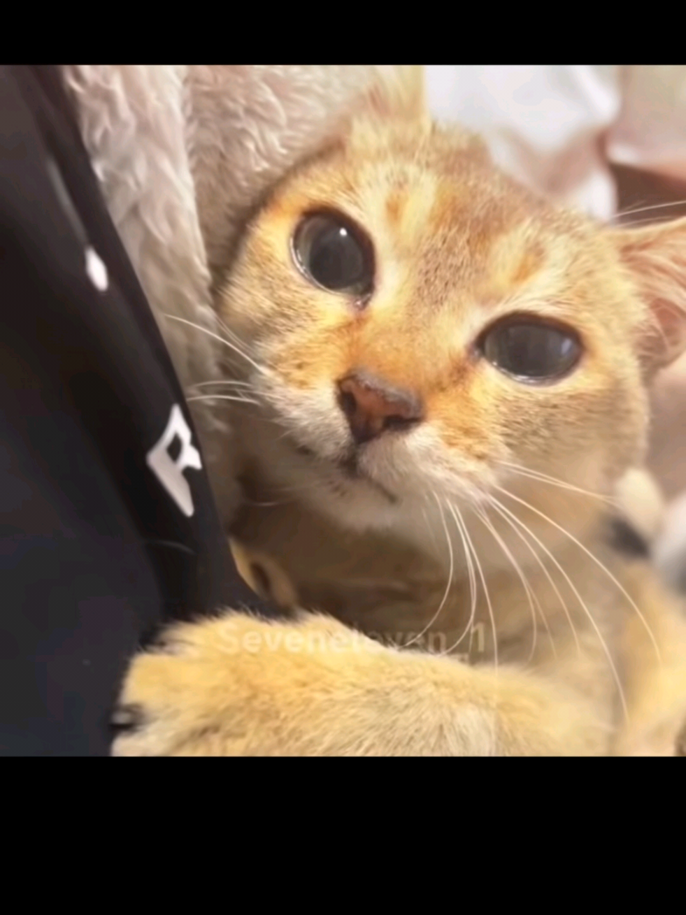 @TᖇᑌᒪY ᑎYᒪ.