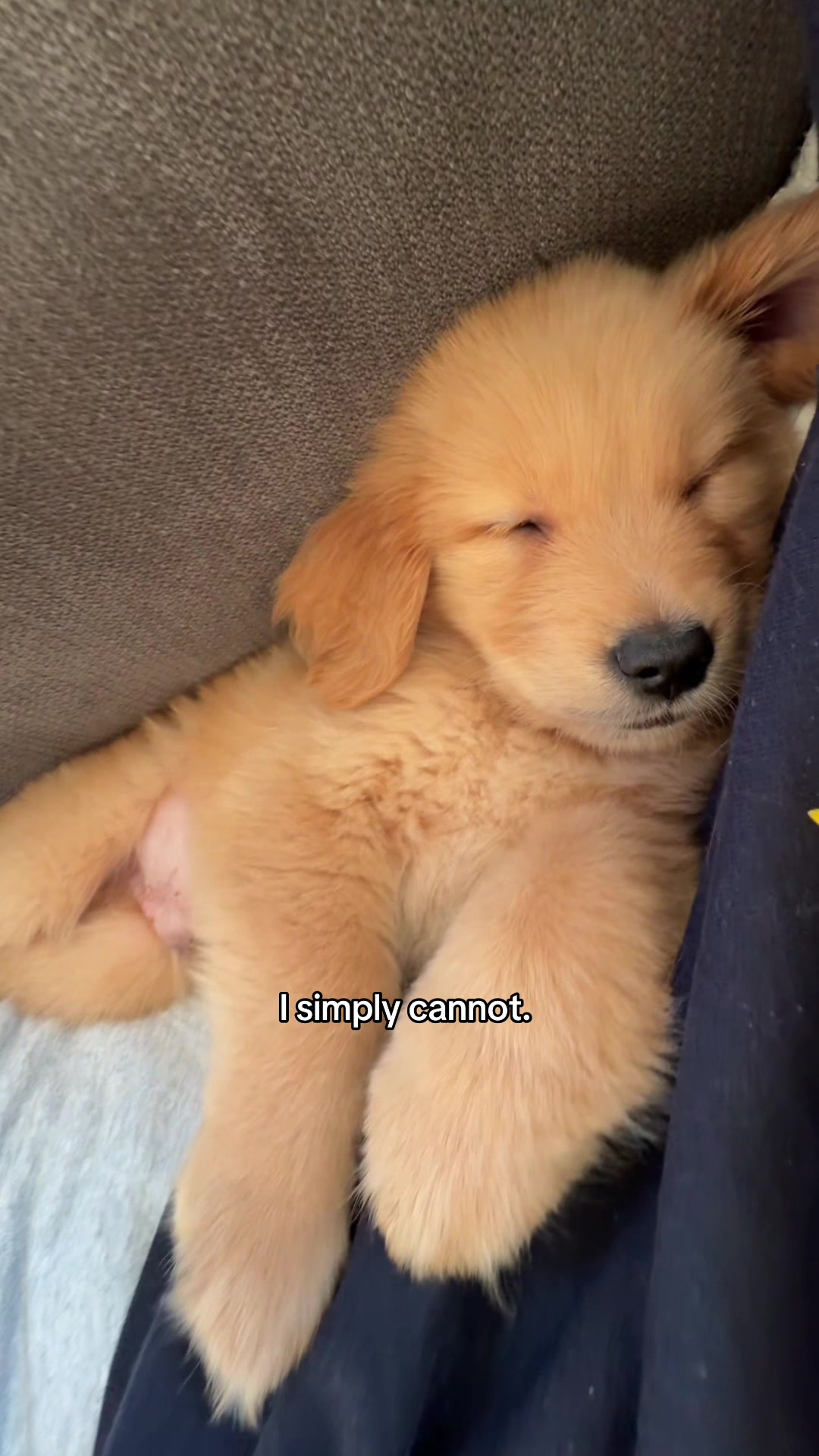 @Teddy🧸