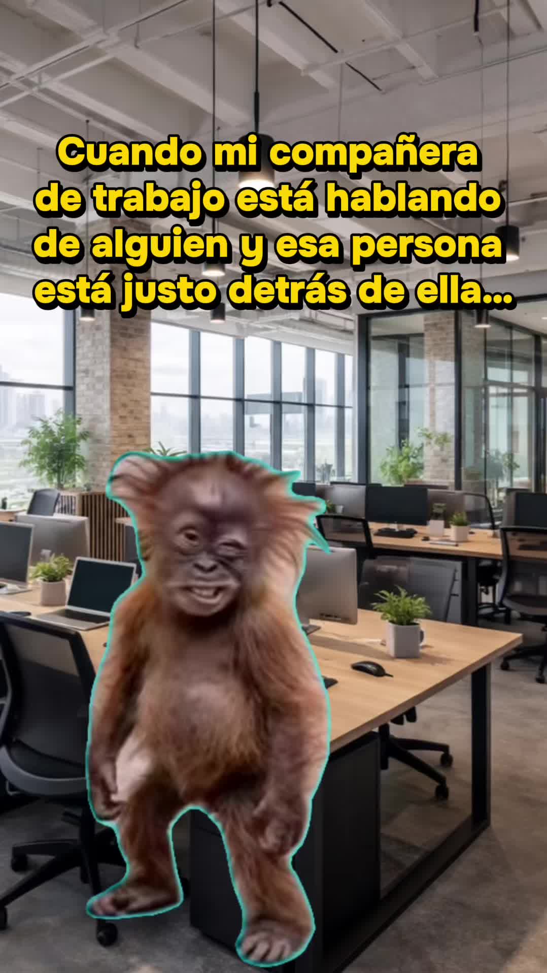 @🌺Araceli