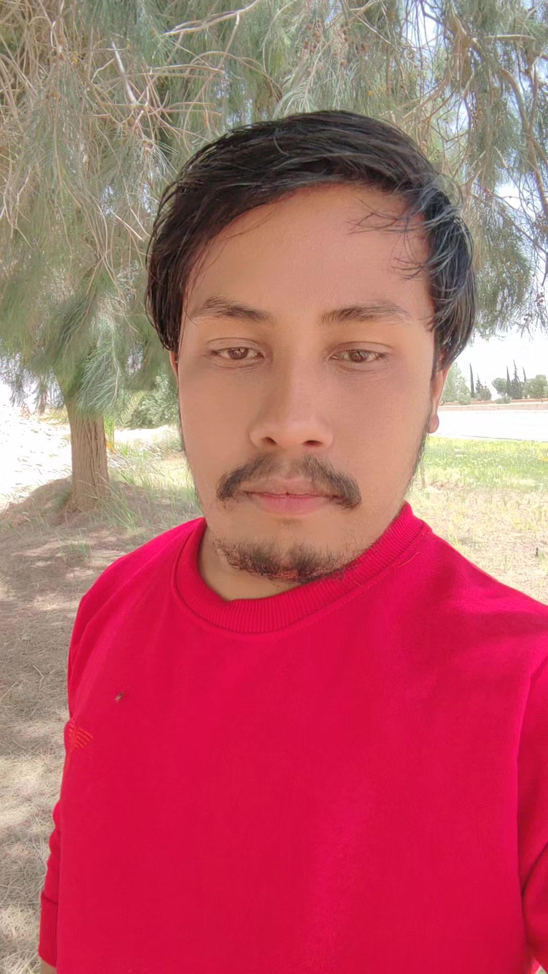 @Mangal Singh