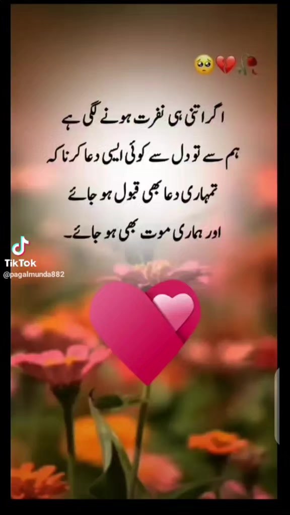 @👑Malik Naveed 😈🤬