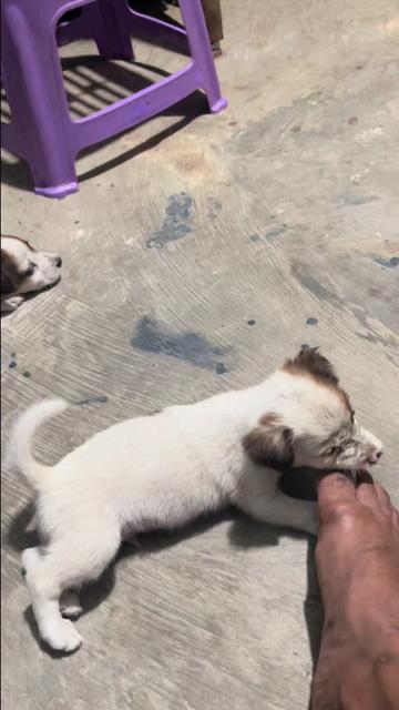 @Venezuella_24’🌱