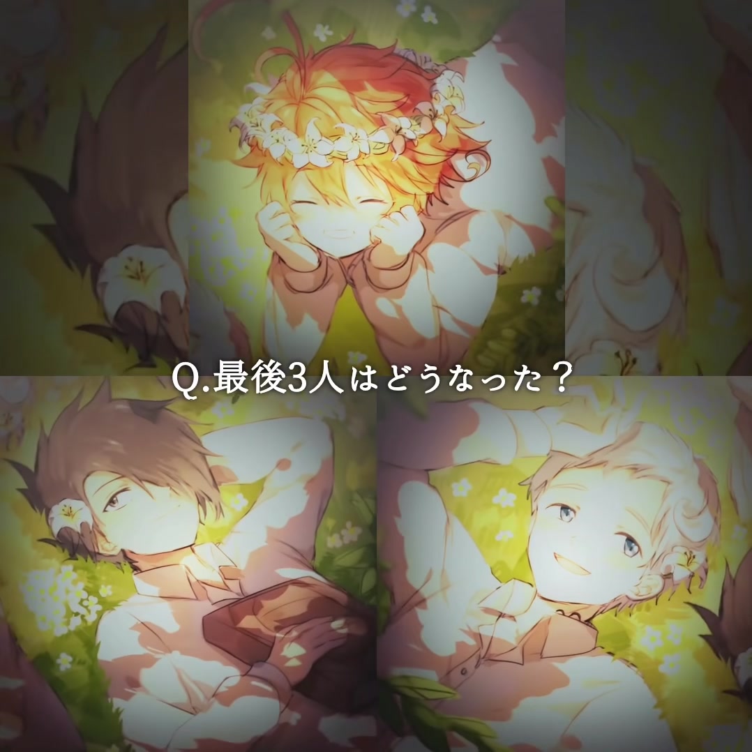 @ほたるいかN極
