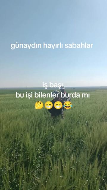@🦂 GÜNEŞ 🦂