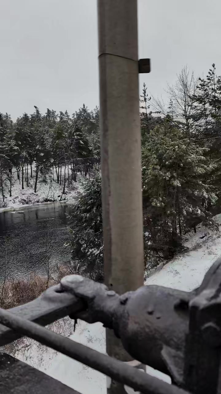 @vornexx_