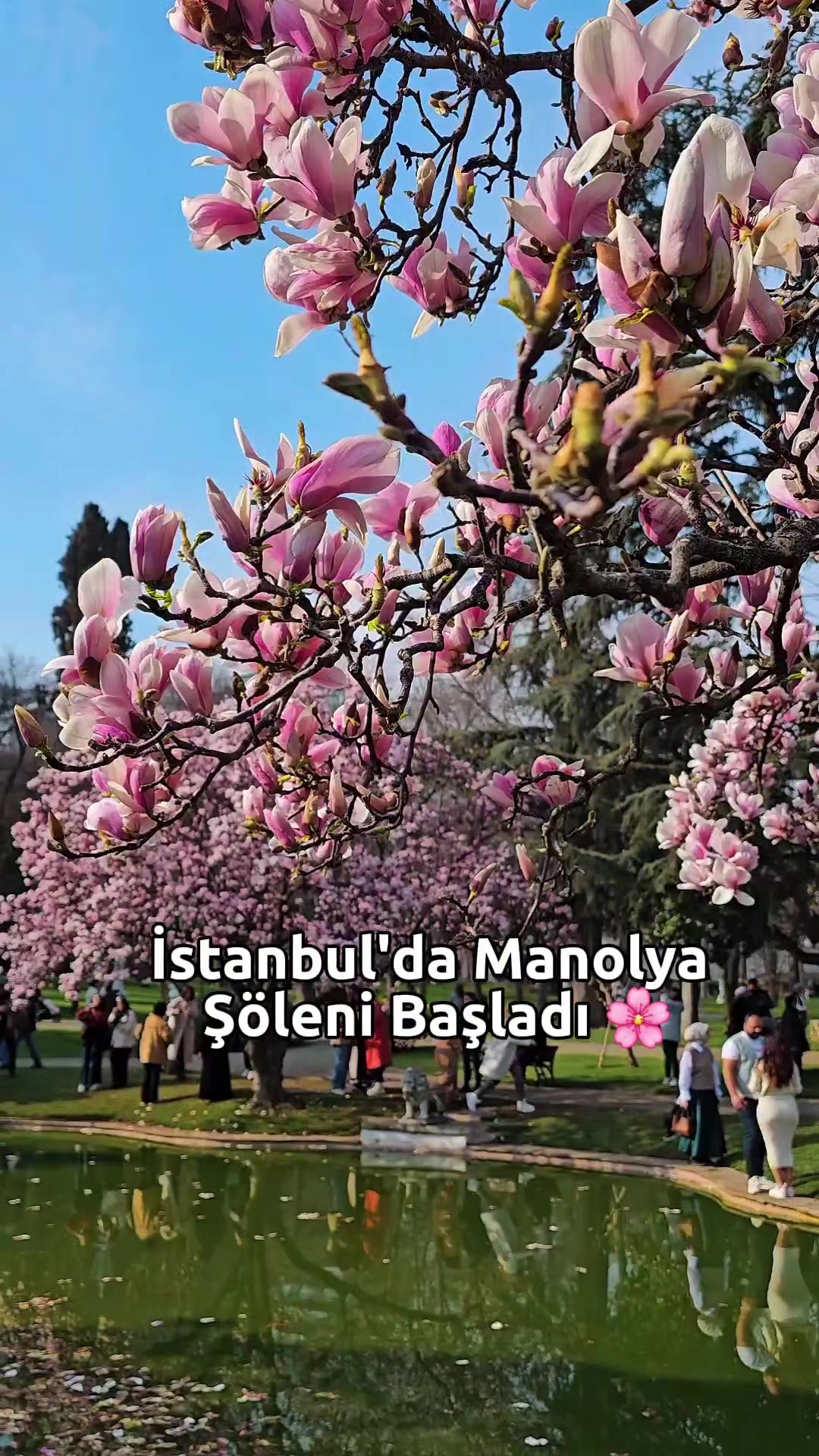 @duslerdeistanbul