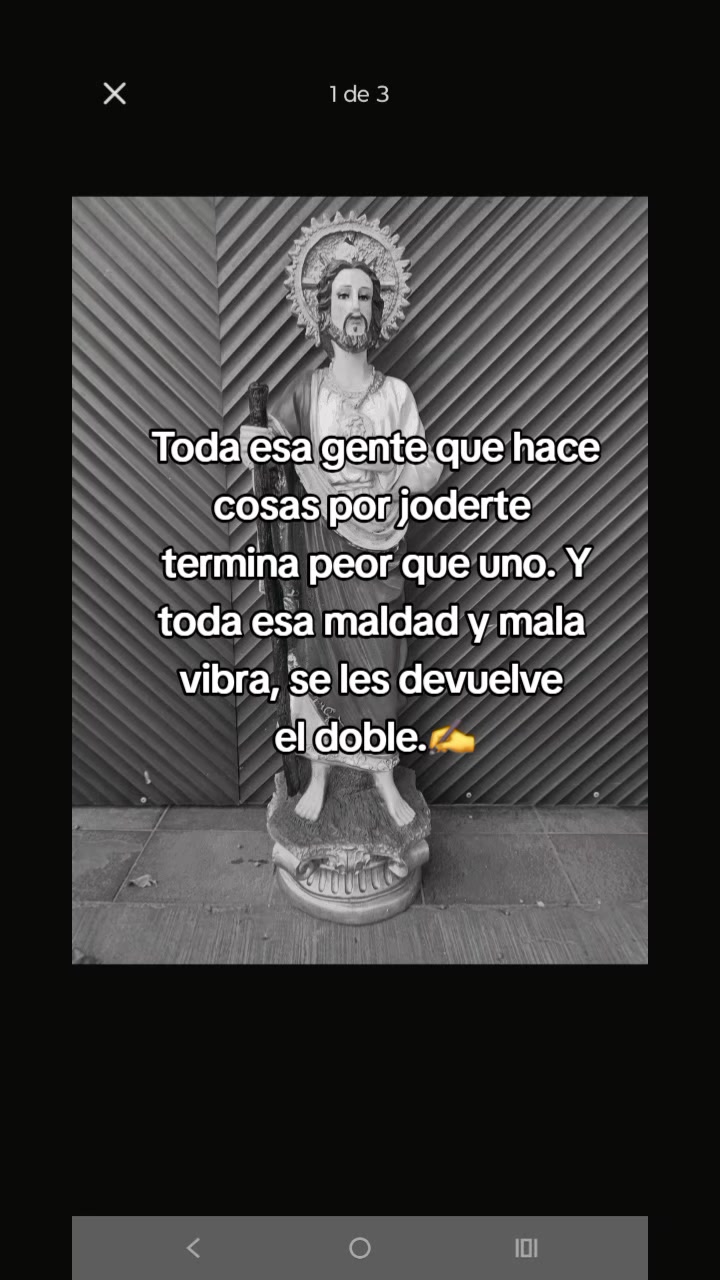 @🫀Chispita🧠 Alegre 💥