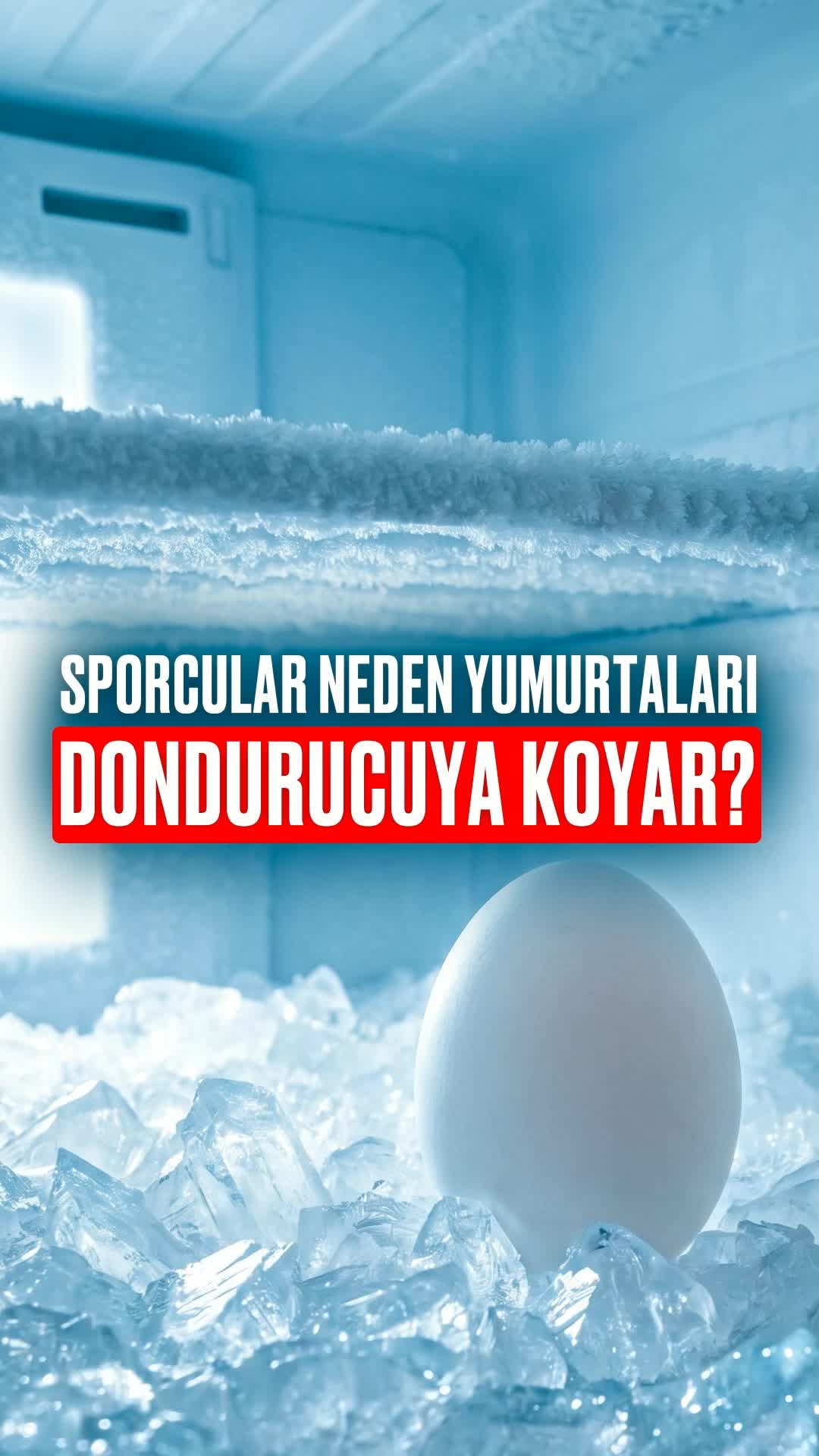 @Bolotov_Merkezi