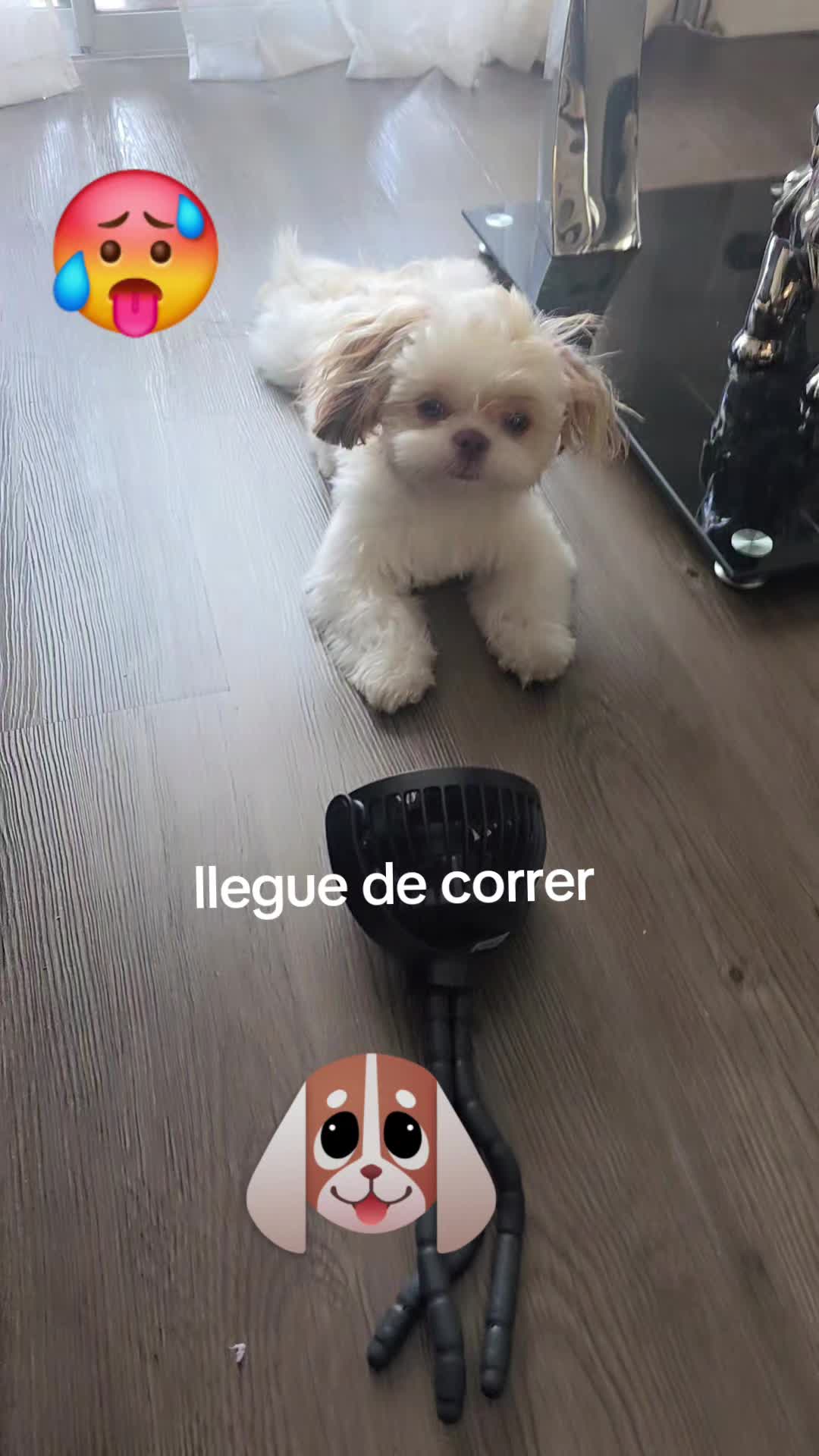 @colombianita