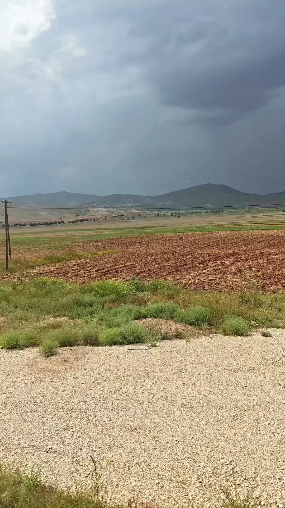 @laz kızı _28_07