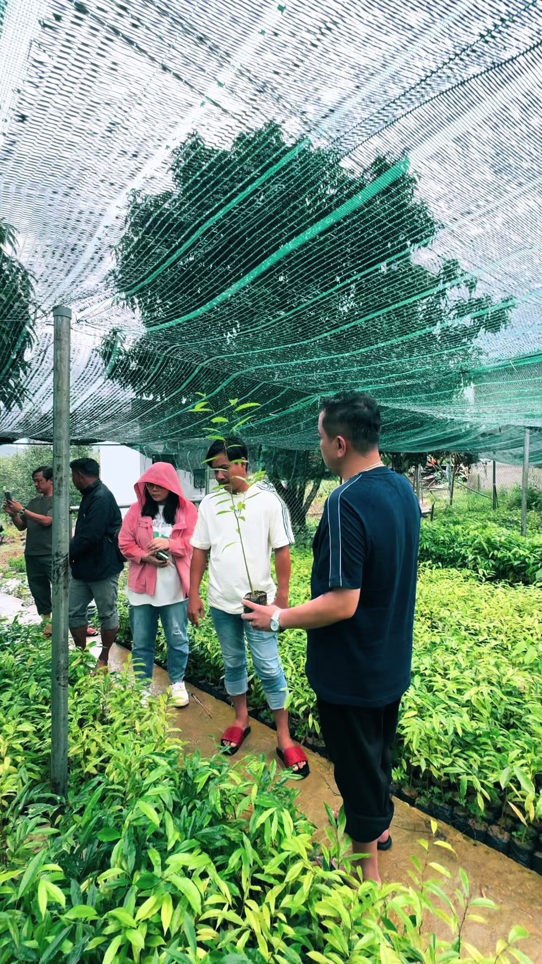 @Dó Đen Việt !