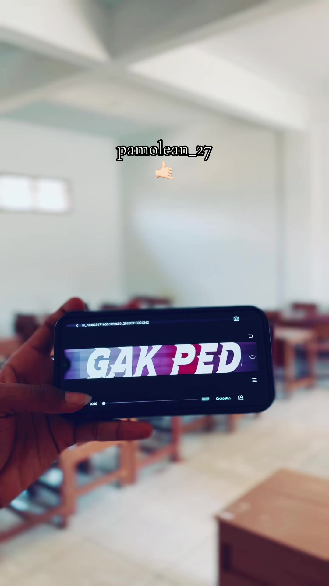 @pamolean_27