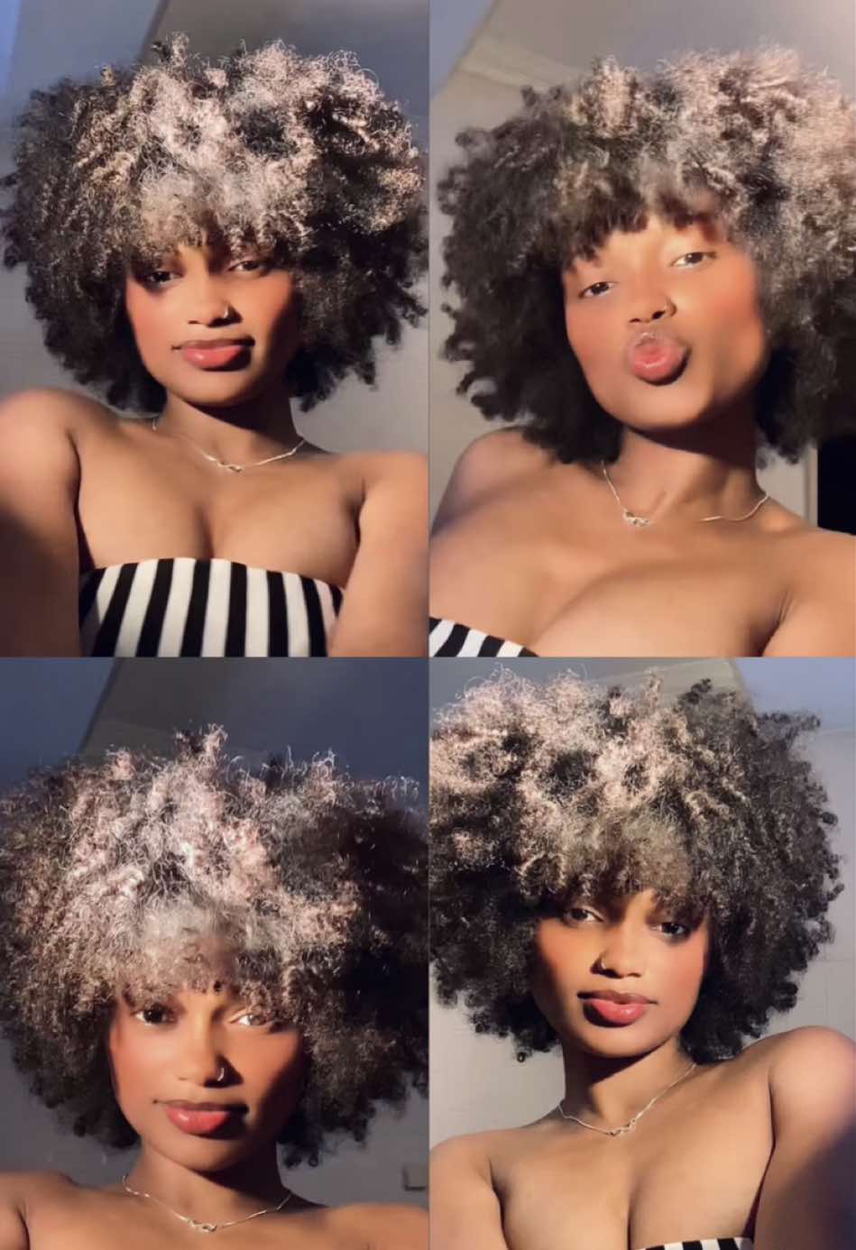 @ELEHONOR✨