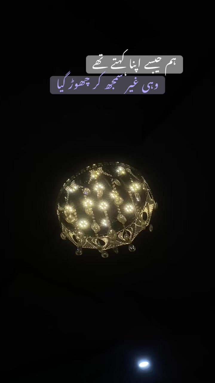 @🕊️