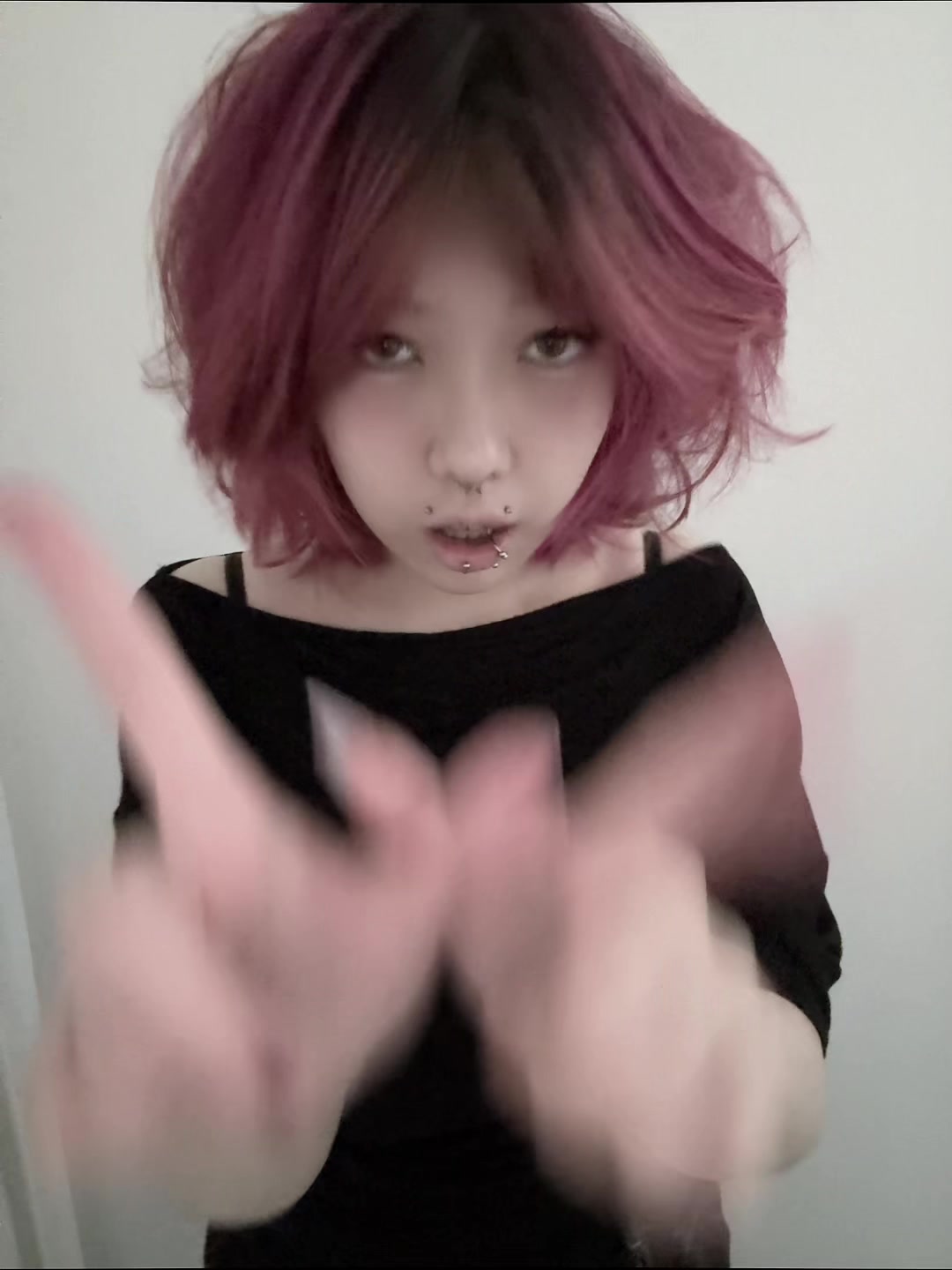 @птичка 2.0