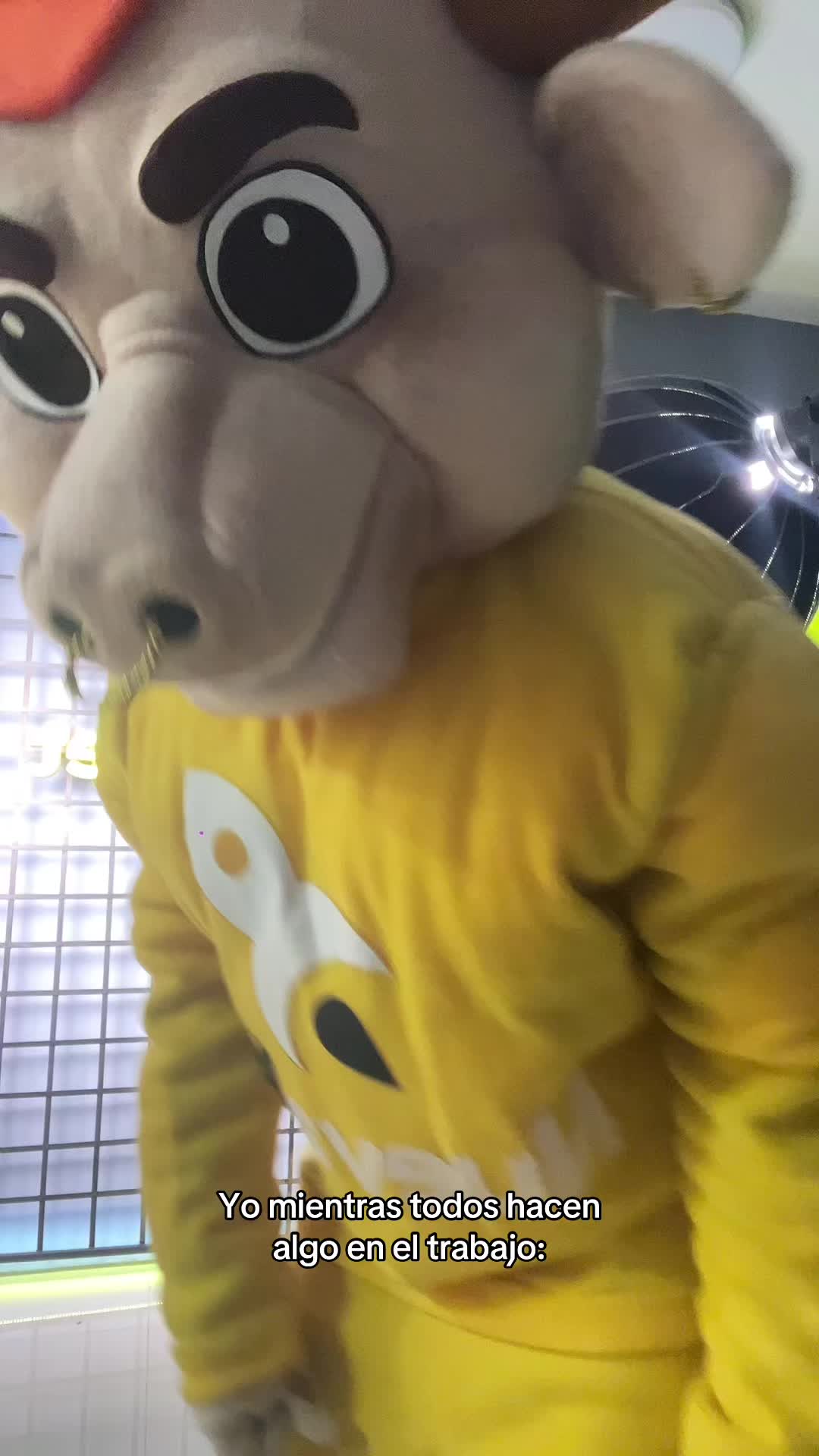 @joee