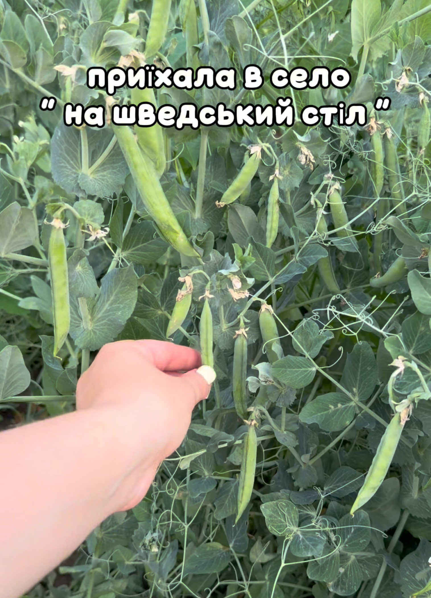 @Cooking_With_Love