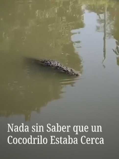 @N+ UNIVISION