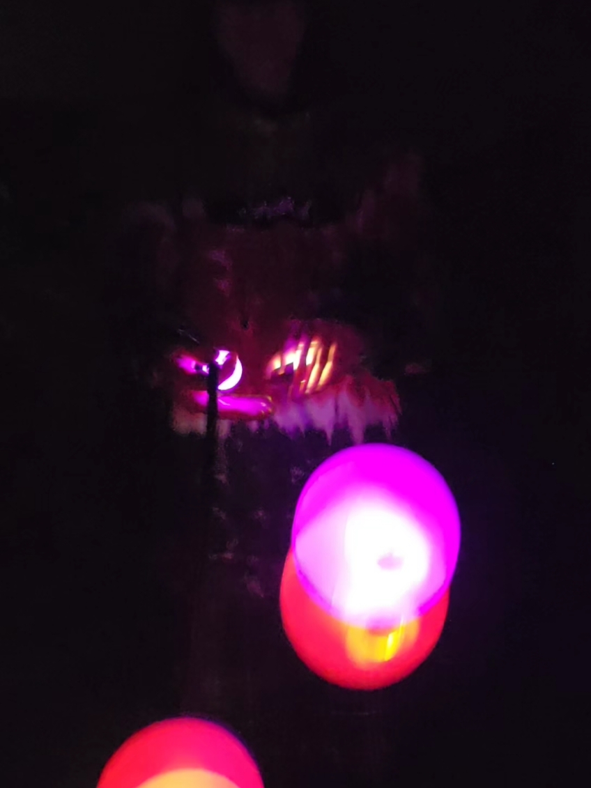 @glowbugflow