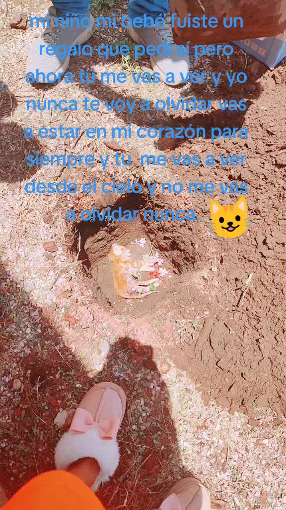 @Blanka Velez Zapot