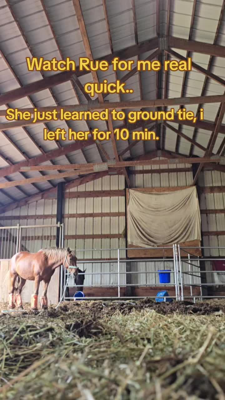 @Small Town Farm LLC