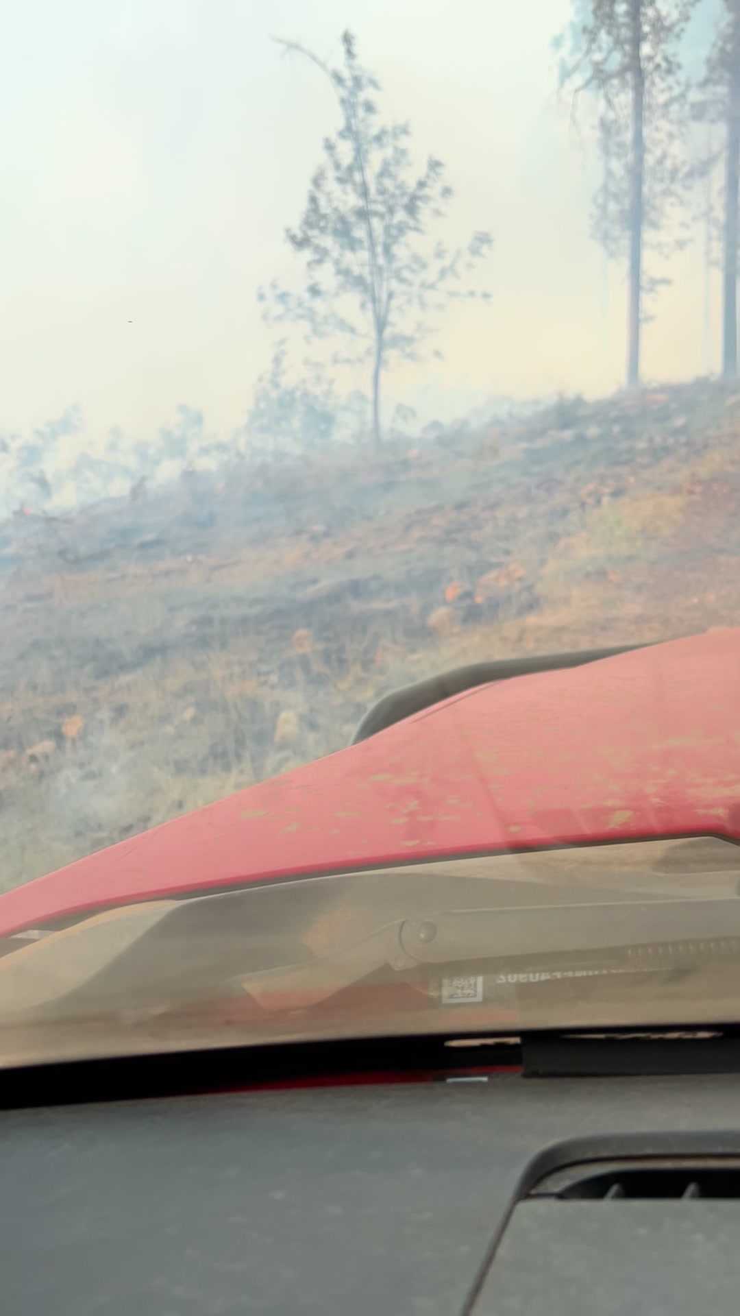 @iamwildland