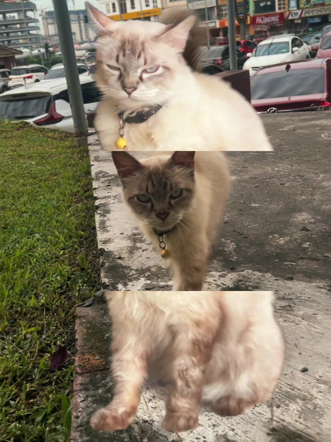 @๐๐๐โฐโด