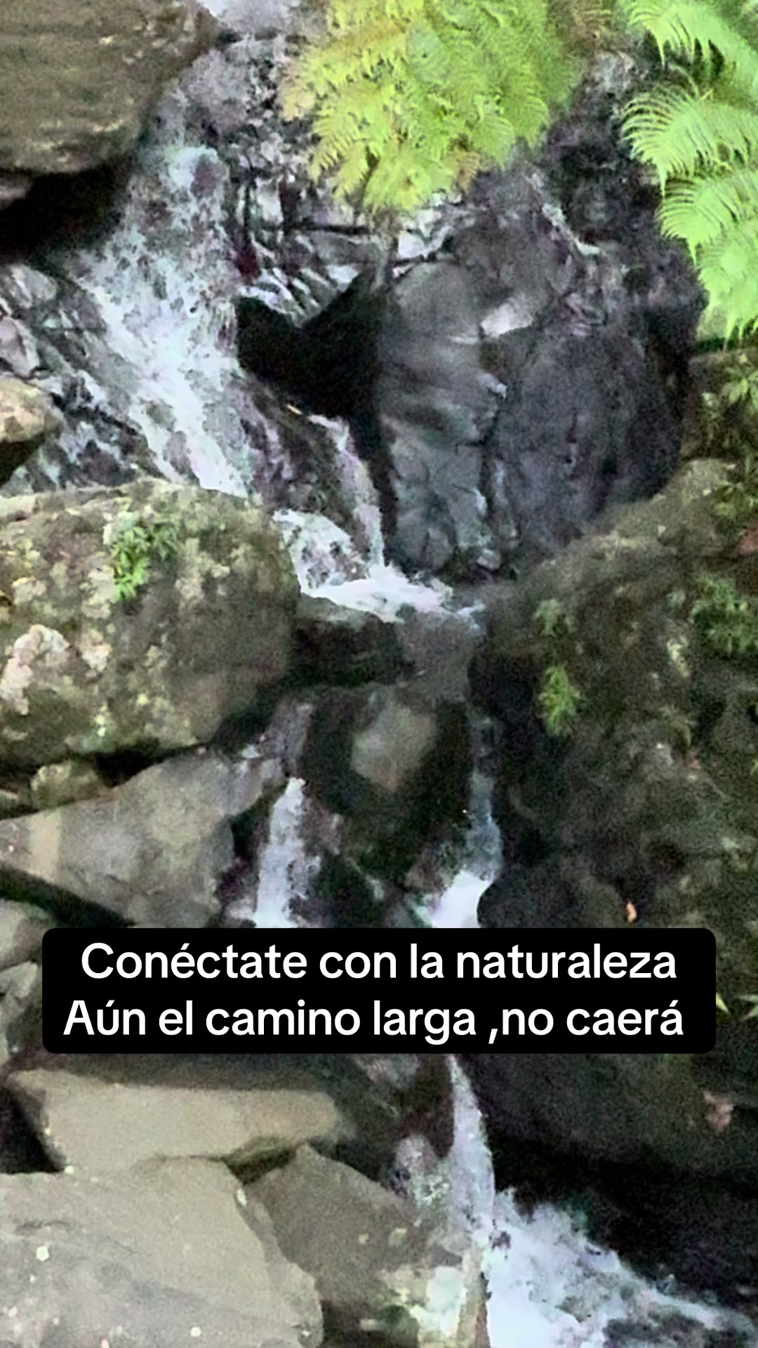 @american.serv