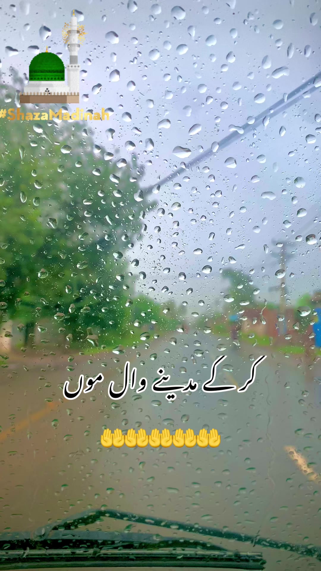 @foji sajjad