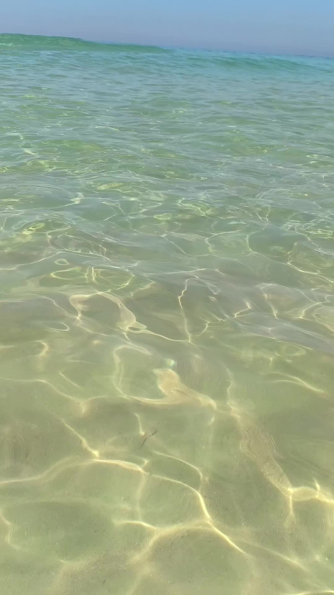 @J&uacute;nior 🇧🇷