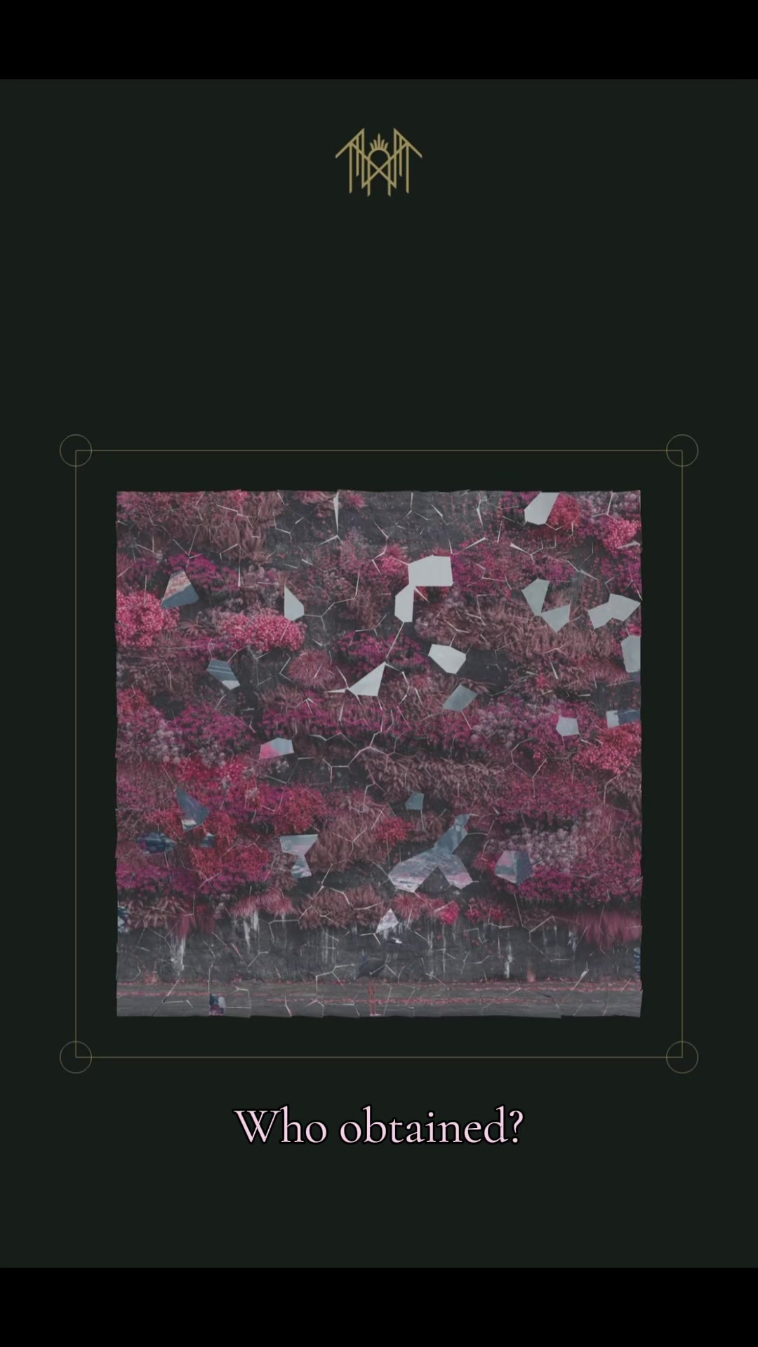 @✩A𝖘𝖍𝖑𝖊𝖊✩