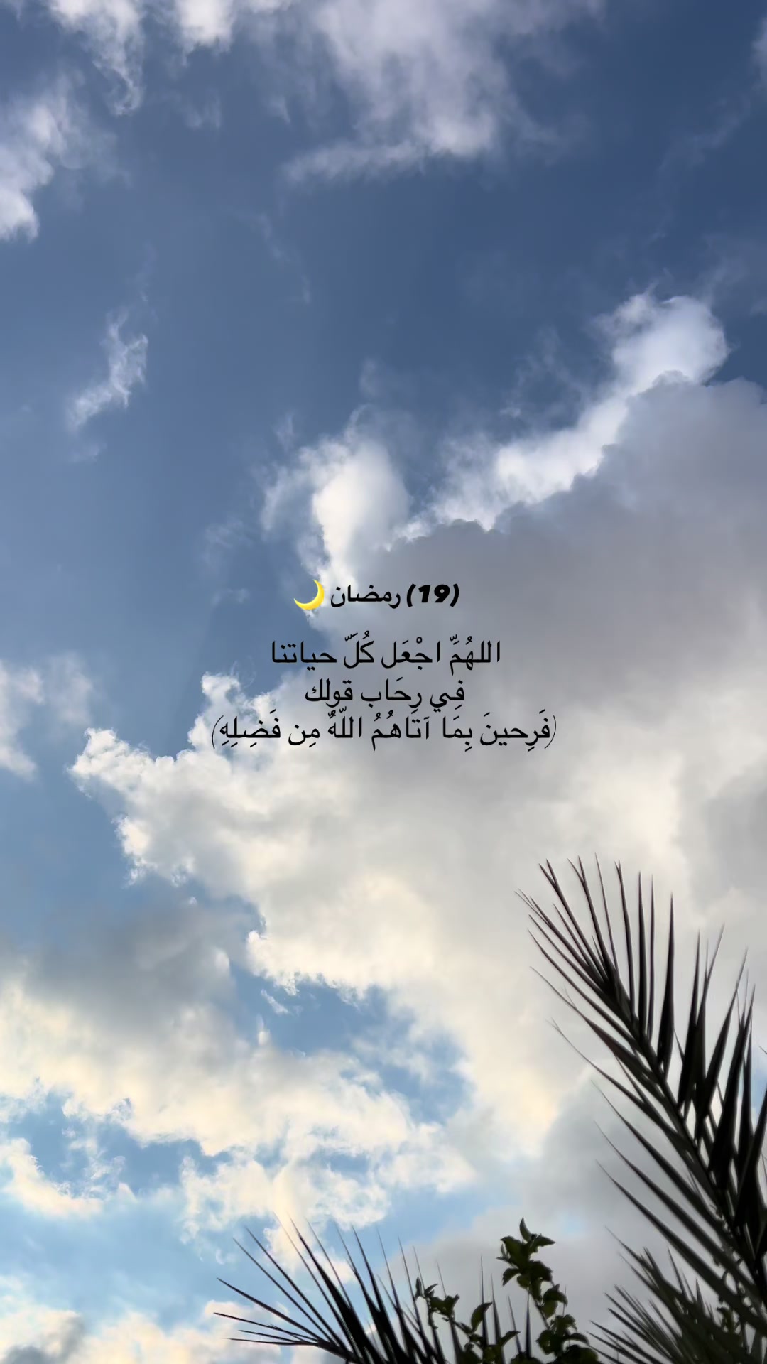 @لحظة الأمل 🫀🤍