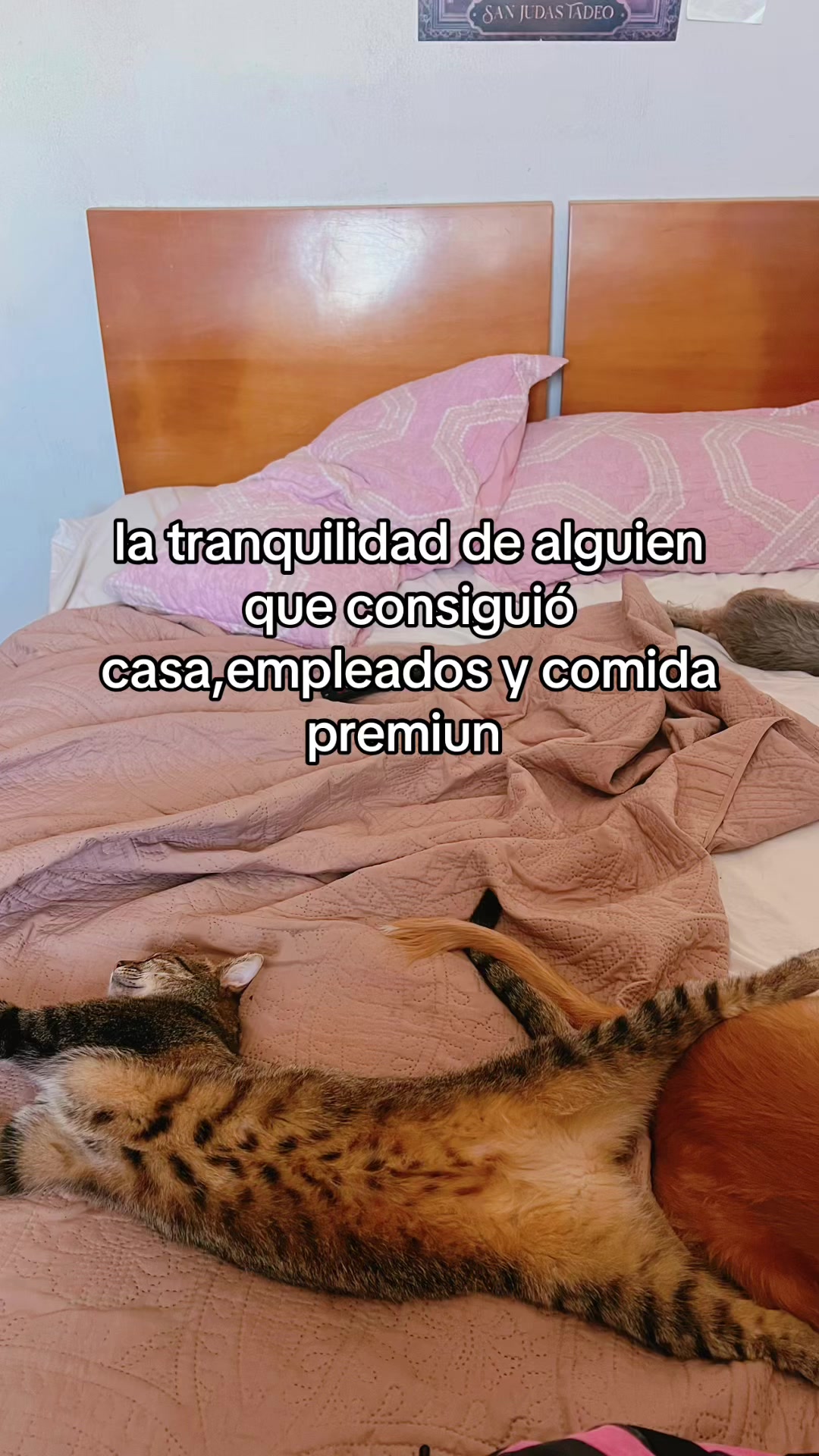 @Jekaspao