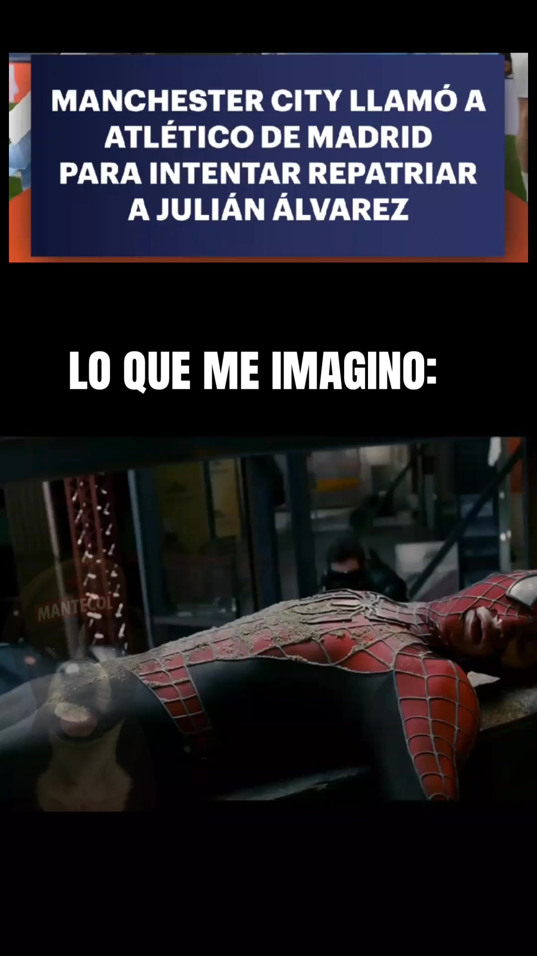 @Sargento_mantecol