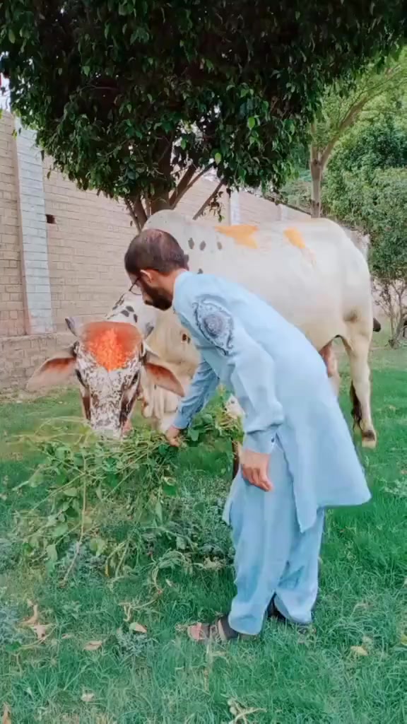 @👑Malik_🤗Umair💝_Awan🔥