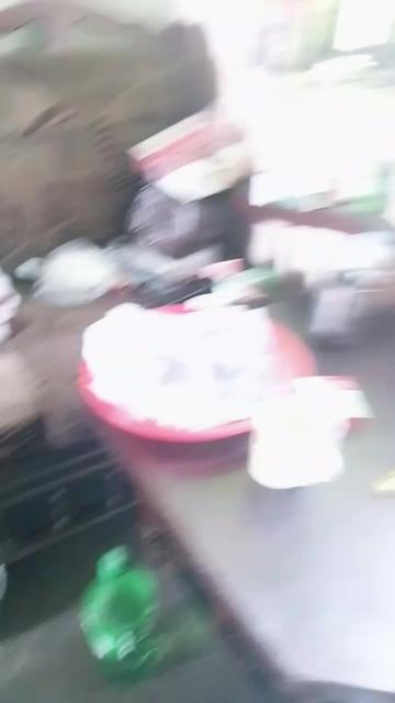 @Bushra786