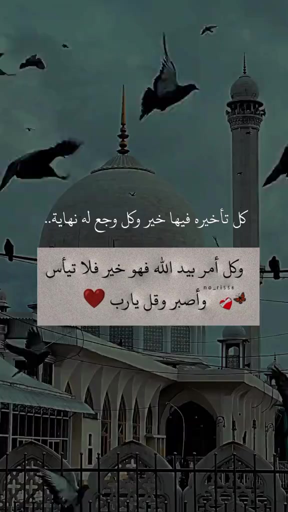 @الممشى العريض🪕🎺🎻